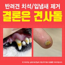 견사돌 닭고기맛 1박스 치석제거 잇몸건강 간식 닭고기첨가 껌 강아지 간식 애견 간식, 소형견용,닭고기(14개입)