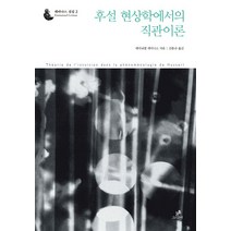 후설 현상학에서의 직관 이론, 그린비, 에미뉘엘 레비나스 저/김동규 역