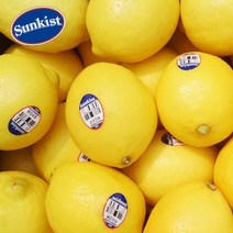 인기 레몬대과1박스 추천순위 TOP100 제품 목록