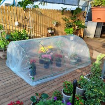 가정용 조립식 미니텃밭 비닐하우스 온실 다육 베란다, 180cmx100cmx60cm(필름 포함)