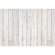 사진촬영배경지 생일 파티 배너 어린이 반려동물 동물 초상화 사진 촬영, Vinyl 60x40cm+NWH07376