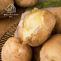 [웰굿] 산지직송 충남 당진 두백감자 5kg(조림 개당50g이하), 단품