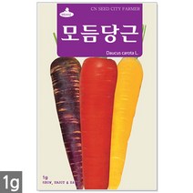 얼룩이 강낭콩 씨앗 70립 - 씨 강낭콩씨 강낭콩씨앗 콩씨 콩씨앗 강남콩씨앗 주말농장 텃밭, 03_모듬당근(1g)