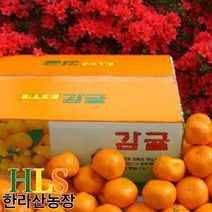 한라산농장 귤 10KG 중대과(L~2L) 홍보용 -불만족 시 무료반품-, 1개