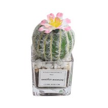 인조 꽃핀 선인장 조화 투명미니화분 장식소품 77123EA