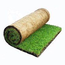 천연잔디 양잔디 캔터키블루그래스 롤타입, 천연 양잔디 (150cm x 65cm)