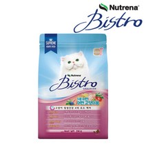 비스트로 고양이사료 1살미만 키튼용 2KG, 단품