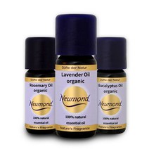 노이몬트 유기농 에센셜 오일 10ml 14종, 08_베르가못