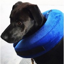 반려동물 튜브 넥카라 M, 1개