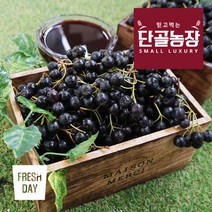고창 프리미엄 아로니아 냉동생과 3kg, 단품