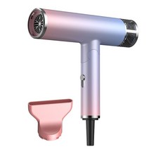 찬바람드라이기 호텔 헤어 초강력 드라이어 전문가용 적외선 음이온 블로우 차가운 바람 살롱 스타일러 도구 전기, [01] 미국, [03] Gradient Pink