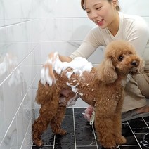 강아지비누 고양이샴푸 천연비누 천연샴푸 애견비누 10종, 장미우유