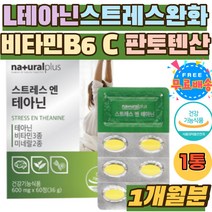 엘 테아닌 스트레스 완화 비타민 B6 C 판토텐산 케어 태안인 테아닌250 L-THEANINE 아연 면역 스트레스해소 L테아닌 홍경천추출물 발레리안 케모마일 시계꽃 알약 마그네슘