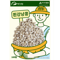 팜스마켓 강낭콩 씨앗 100립 흰 강낭콩씨 종자, 1.흰강낭콩씨앗 100립
