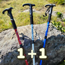 1+1 등산스틱 노르딕워킹 등산용 접이식 4단, 실버 1SET (2개)