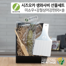 [와사비가게 선물세트] 시즈오카 미쇼우 생와사비+강철상어강판(R)+와사비전용 대나무솔, 50g