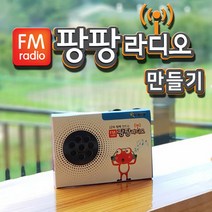 팡팡라디오 만들기, 단품
