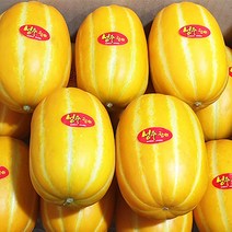 프리자연 산지직송 프리미엄 가정용 성주참외 고당도 꿀 참외 1.5kg 3kg 5kg, 가정용 중대과 성주참외 5KG(14~23과)