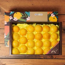 [감동]제주 황금향 4.5kg 20-26과, 1