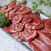 소소한 한우 1++ 갈비살 + 모듬구이 세트 총 600g 부채살 치마 차돌 업진 아롱사태