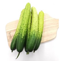 야채왕 오이 2개