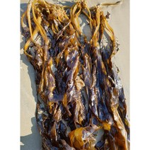 기장 물미역 1kg 2kg 생미역 쫄쫄이 미역, 기장미역 1kg