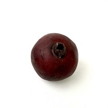 인조 과일 모형 크리스마스 할로윈 새해 파티 홈 인테리어 인공 과일 애플 오렌지 레몬 복숭아 배 수박 바, 07 Type 11