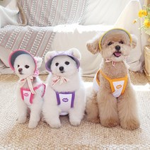 오드펫 썬캡[ODD PET] 강아지 또또또또UV 체크 썬캡 (6종류), 해또(블루)