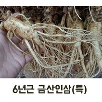 실속형 수삼 인삼 (특) 7-10뿌리 (오쿠용 홍삼용 실속인삼), 가정용 난발삼 750g (7-10뿌리)