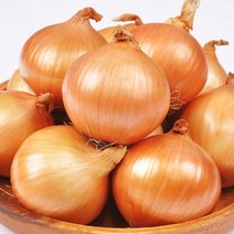 [20%농할가 8 720원] 23년 햇 양파 5kg(특 150g이상), 1번 5kg