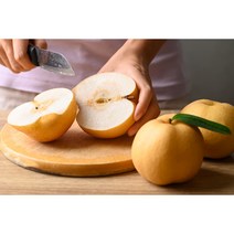 명품 배 선물세트 명절 과일 선물, 1개, 8~12과(특)