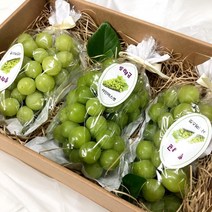 추석명절 과일선물세트/샤인머스캣 샤인혼합세트, 3. 샤인+사과+배 혼합세트, 1. 기본포장(+0)