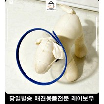반려동물용품 넥카라 강아지물품 반려동물목보호대 강아지목카라 중성화넥카라 강아지가림막, 1개, 낱개