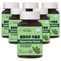 윌케어 발효여주 추출정 국내산 600mg x 60정, 6병