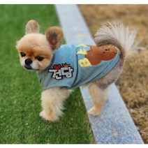 예보들 강아지이름표 애견인식표 강아지인식표 고양이인식표 강아지이름표목걸이 애견목걸이 강아지인식표목걸이 고양이목걸이, 6글자(+1500원), 열쇠고리타입(+500원), 빨강색 하트