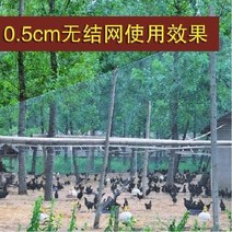 양계망 울타리망 과수원 닭망 새망 능형망 휀스, 폭 2m 길이 10m의 0.5cm 메쉬