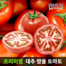 이츠올릿 대추 방울 찰 토마토 1팩 750g 못난이 단 토마토