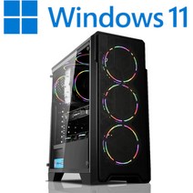 [왕가PC]WGCP 윈도우11 탑재 데스크탑 3D게임용 배그 풀옵션 게이밍 조립컴퓨터 롤 오버워치2 로스트아크 국민옵션부터 풀옵션 조립PC, 02. SSD 512 변경, 게이밍 06