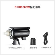 고독스 DP600III 3세대/4세대 카메라 라이트 플래시 600w 광고 촬영 스튜디오, 신우DP1000 III3세대  표준배송