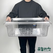 대형 식재료보관통 야채박스 (PC PE 재질), PC(투명), 소소(30L)(660x450x150), 1개