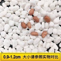 화분자갈 컬러스톤 건재상 천연 작은 흰 다육 가게 표면 화분 화분 정원 조경 장식 흰 원예용 조경용돌 자갈돌, 0.9-1.2厘米【5斤装】
