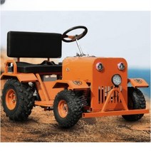 4인용 카트 다인승 버스 전기차 운반차 놀이동산 기차, free, 2인600W48V20A(주문후컬러선택)