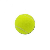 테니스머신기 테니스연습기 미니 테니스 공 개 씹기 장난감 애완 동물 발사기 물린 기계 탄성 기계를 던져, 5cm