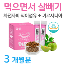 가르시니아 다이어트 탄수화물 지방합성 억제 HCA 차전자피 식이섬유 배변활동 원활 체지방 감소 도움 식 약 처 인정 건강기능식품 홈쇼핑 프리미엄 영양제 성분 가격 효능 비교, 3개월치, 6000mg x 60포 (하루2포)