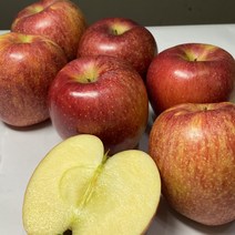 예산 엔비 사과 고당도 가정용 사과 선물세트 2.5kg 5kg 10kg, 비세척사과 5kg소과(20-22과)