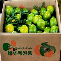 탐라인 제주 조생 유라조생 극조생감귤 로얄과 귤한박스 5kg내외, 1box, 5kg