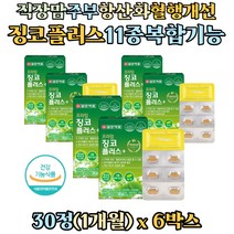 직장맘 주부 발 하체 탄수화물 대사 혈액순환 티아민 은행잎추출물 징코 플러스 아연 판토텐산 셀렌 복합 영양제 징코빌로바 기억력 혈행개선 Ginkgobiloba 여성 다리 종아리
