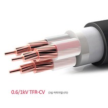 TFR-CV케이블 / 1.5SQ ~ 240SQ 2심(2Core) / CV전선 / M판매, 70SQ  2C