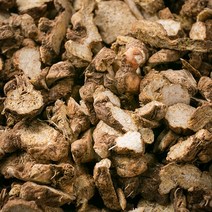 봉래 삽주뿌리(백출) 600g/삽주뿌리/손절/위건강재료/창출/백출가루/백출환 식품 > 건강식품 전통건강식품 기타전통건강식품/한방재료, 600g, 1, 600g” class=”wr-img”></a></div></p></div></p></div></p></div><div class=