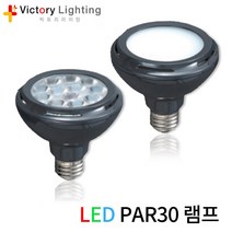 빅토리라이팅 LED 사각벽등 상향등 방수등 실외등 야외등 문주등 벽부등, [램프03-1]LED PAR30램프 15W 집중형 (주광색)